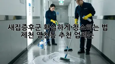 새집증후군, 확실하게 청소하는 법! 제천 영천동 추천 업체는?