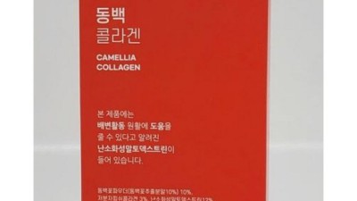 놓치면 후회! 제주서쪽동백꽃 꿀팁 대방출🌸