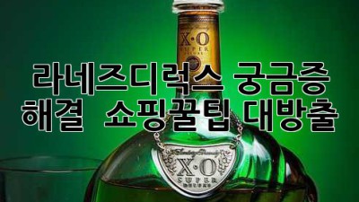 라네즈디럭스✨ 궁금증 해결 & 쇼핑꿀팁 대방출!