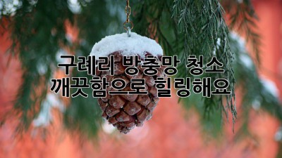 🏡✨ 구례리 방충망 청소, 깨끗함으로 힐링해요! 🌿