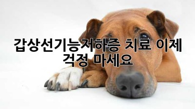 갑상선기능저하증 치료, 이제 걱정 마세요!